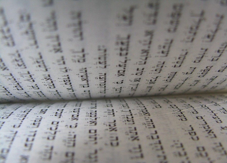 an image of the torah