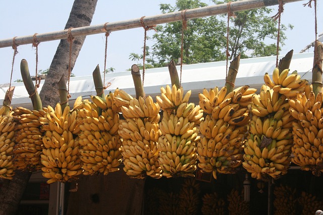 cool looking bananas