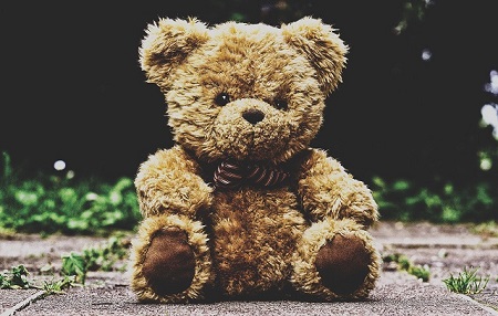 teddy bear