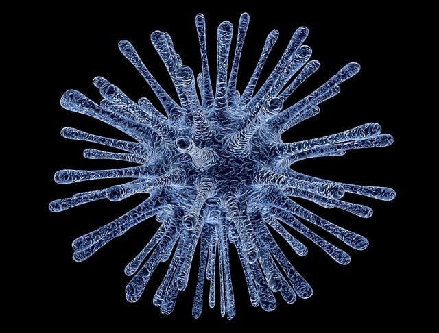 image of a virus