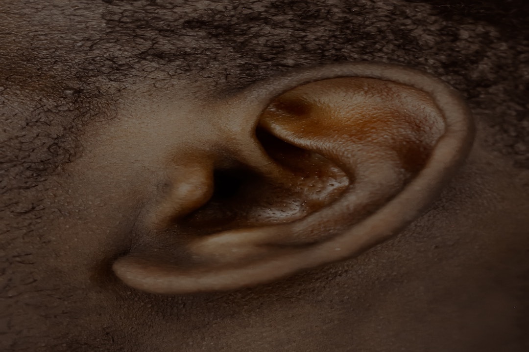 image of the human ear