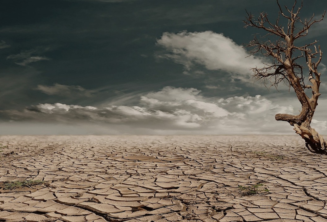 image representing severe drought