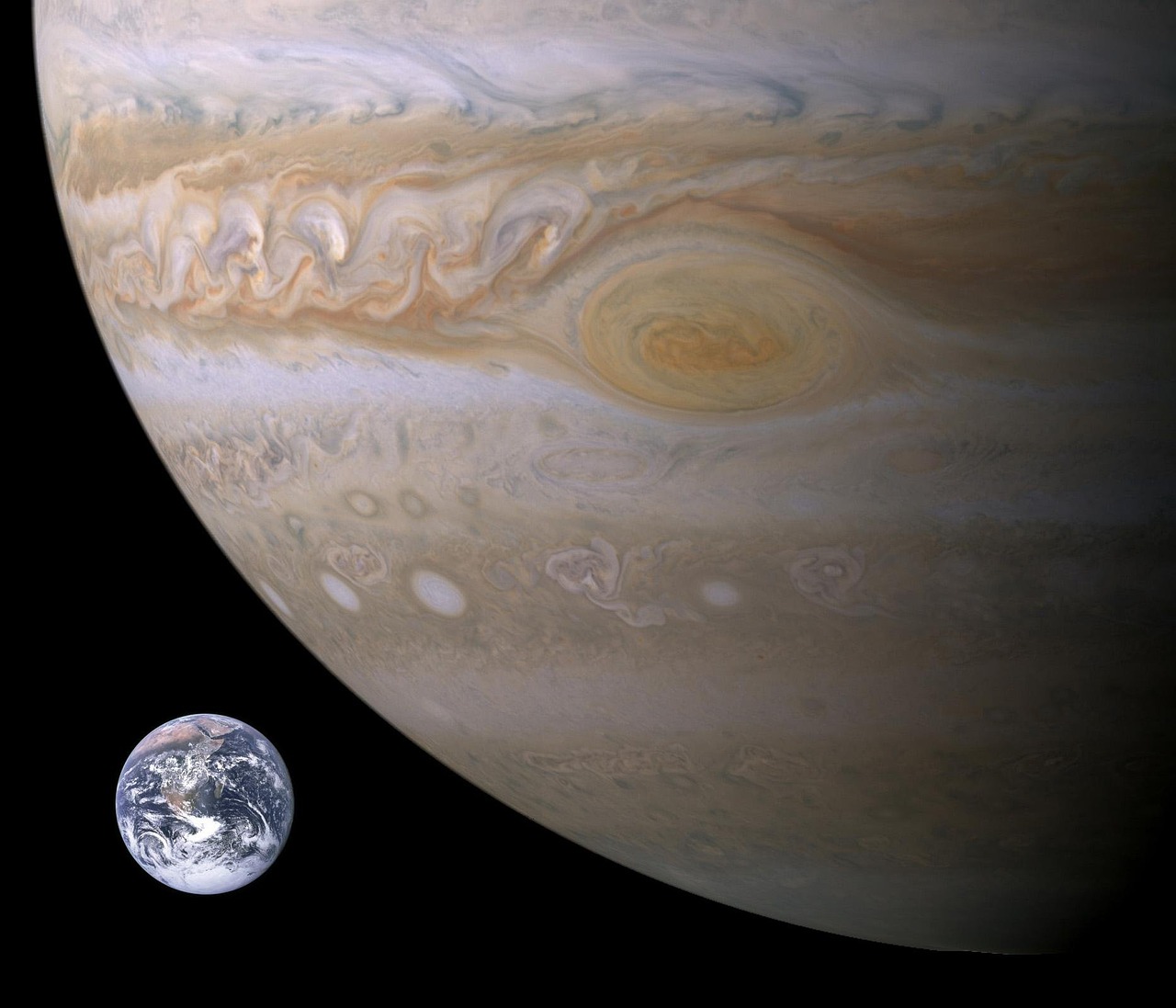 jupiter and earth alongside eachother