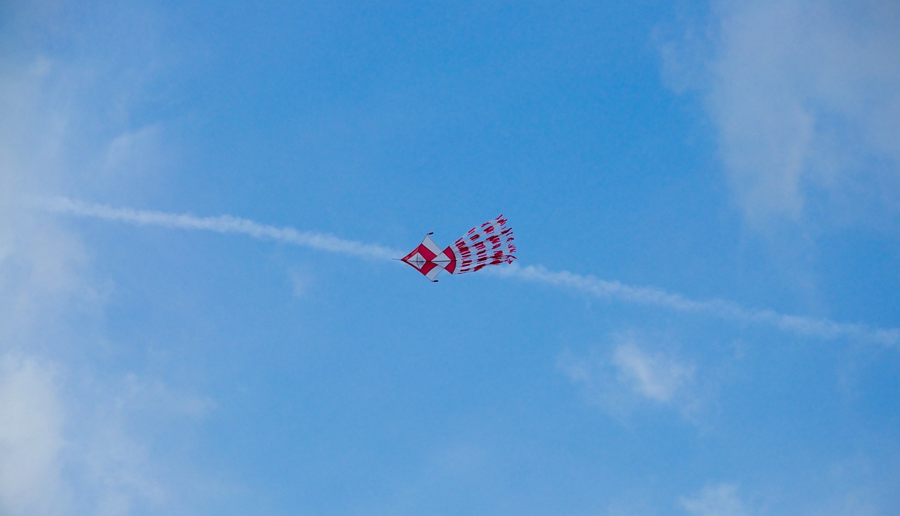 an image of a kite